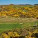 <View of 12th green and tee